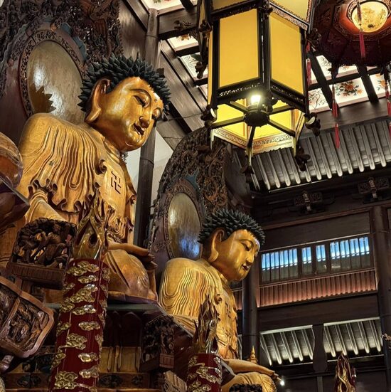 5.-20.01.2026. 你好中国 jeb sveika, Ķīna! (AVIO)